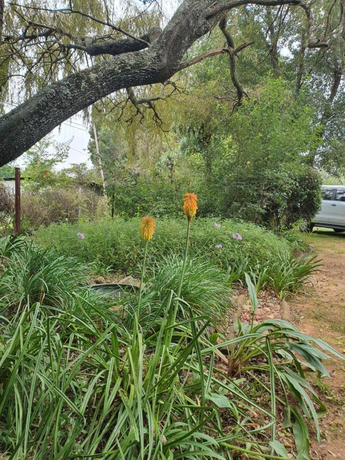 Ukhozi House Villa Dullstroom Exterior photo